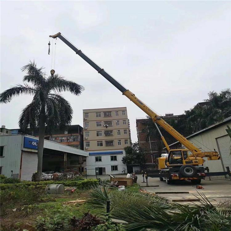 邕宁树木移栽装卸